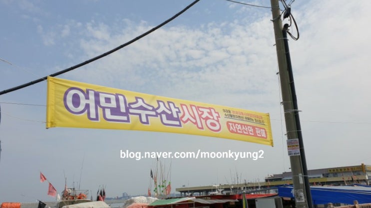  주문진 어민수산시장, 자연산만 판대요.