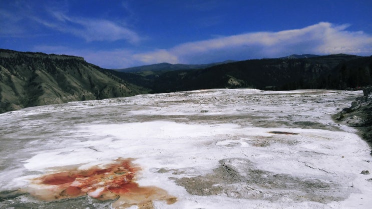  Yellowstone 8-6 | 옐로우스톤-Mammoth Hot Spring