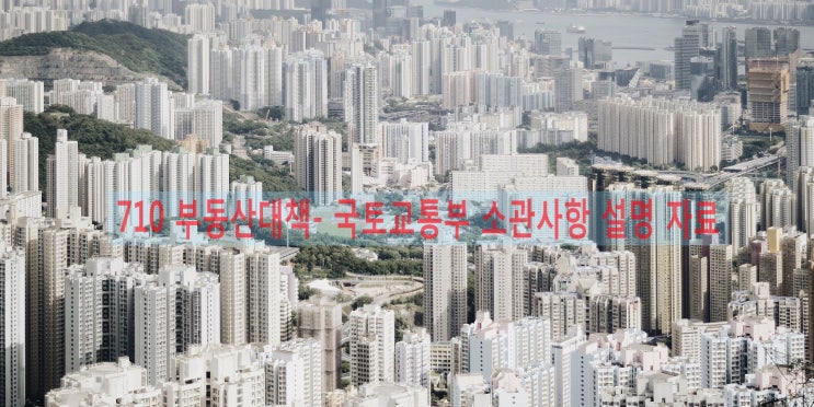  7.10 ｢주택시장 안정 보완대책｣ 중 국토교통부 소관 정책 관련 설명자료