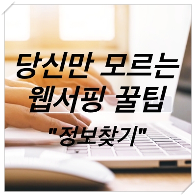  당신만 모르는 웹서핑 꿀팁(정보찾기)