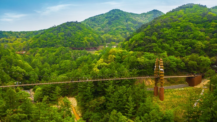  좌구산출렁다리