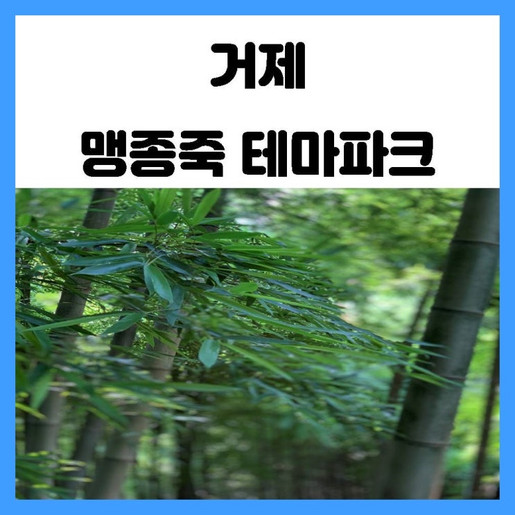 거제 1박 2일 여행 시원한 대나무 숲에서의 산책 거제 맹종죽테마공원