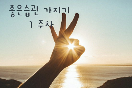  [1주차기록] 나의 변화를 위해 좋은습관 만들기