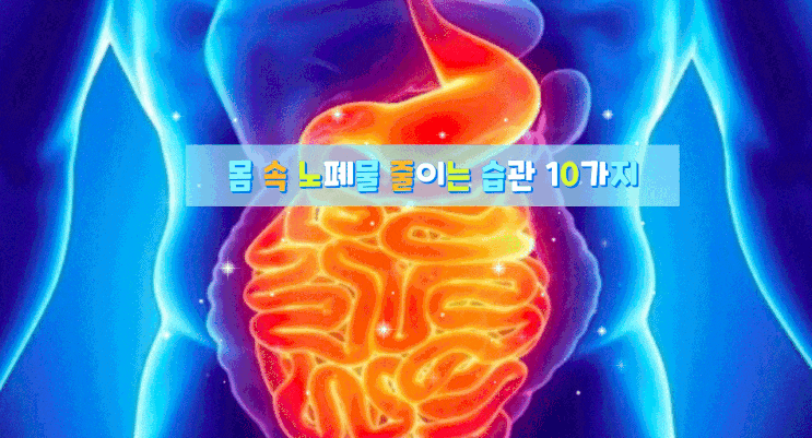 몸 속 노폐물 줄이는 습관 10가지 몸 속 노폐물 줄이는 습관 10가지