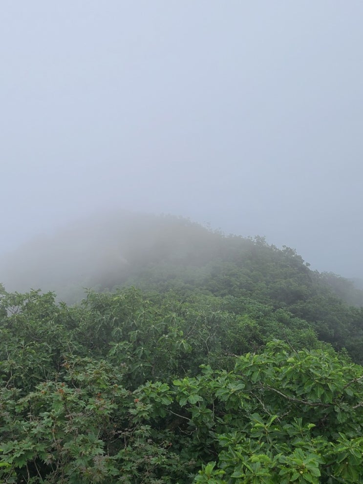  100대명산-6, 속리산 천왕봉 등산코스( 최단 코스 등산)