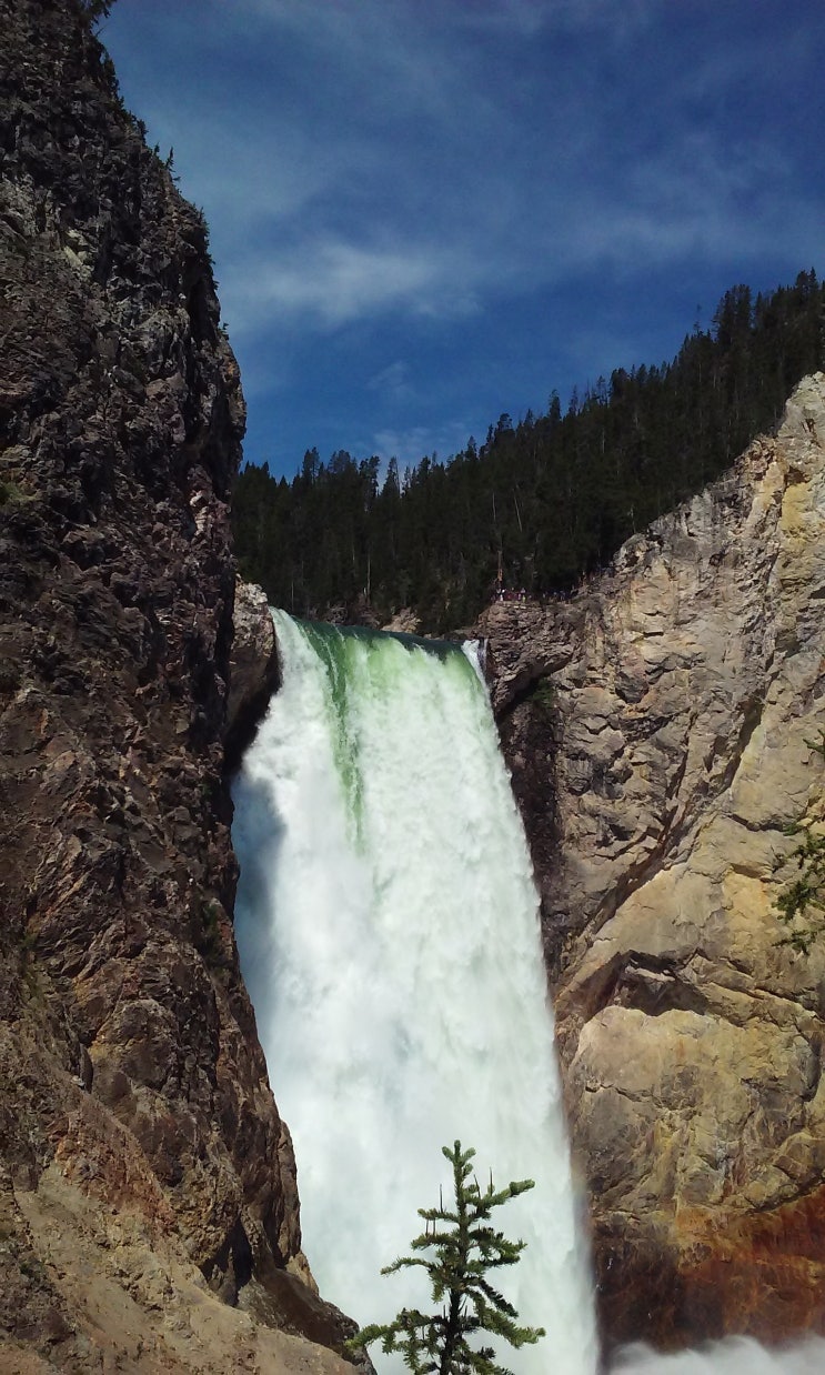  Yellowstone 8-5 | 옐로우스톤 캐년-Uncle Tom's Trail & Upper Falls