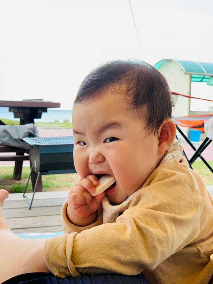  열정적으로 과자먹는 가은이