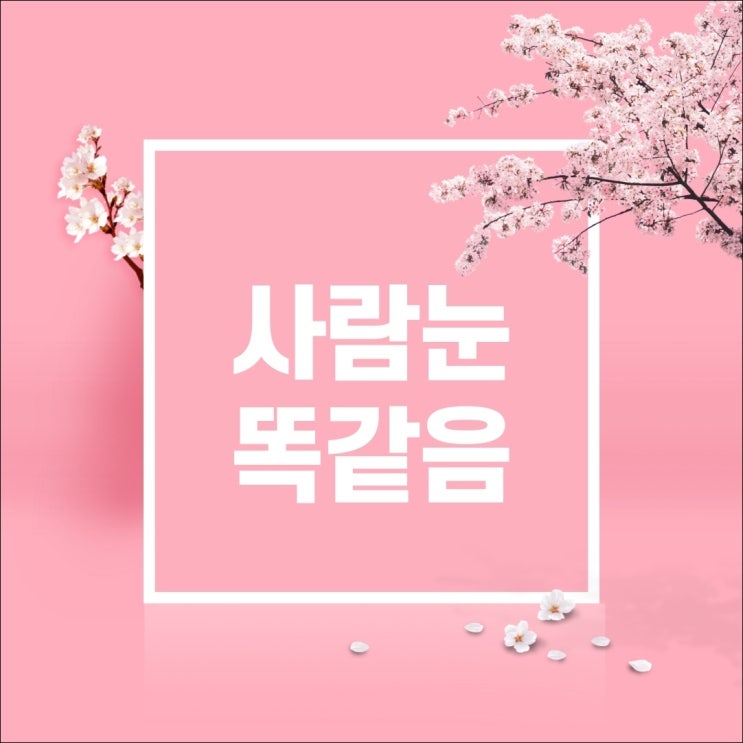  필리핀에서는 정말 한국 남자가 인기 있을까?