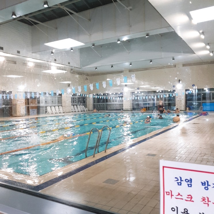  [강남 수영장] 취미로 수영정도는 괜찮잖아?