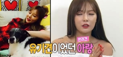 유기견을 위한 꾸준한 현아의 행보 유기견을 위한 꾸준한 현아의 행보