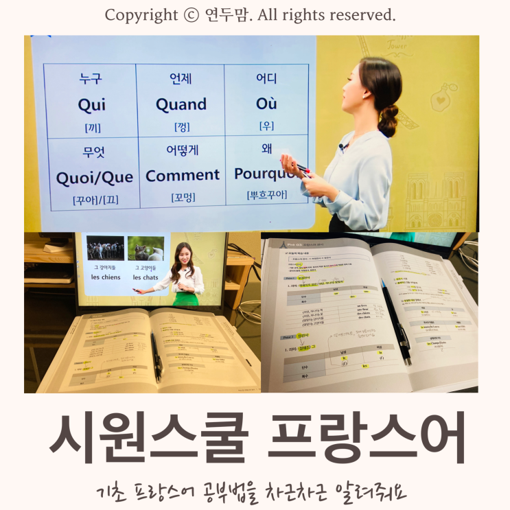 기초 프랑스어 공부법을 차근차근 알려주는 시원스쿨 프랑스어 기초 프랑스어 공부법을 차근차근 알려주는 시원스쿨 프랑스어