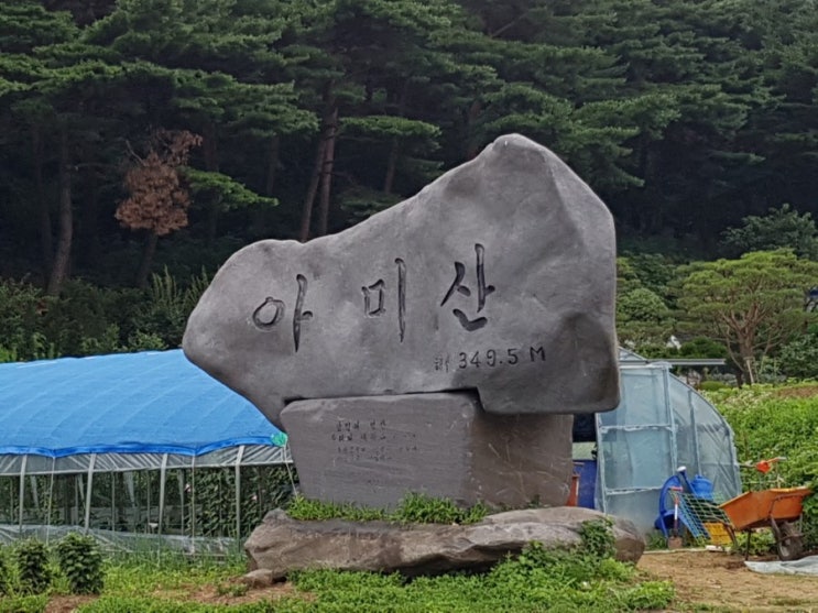  당진 가볼만한곳: 아미산(feat.아미미술관)
