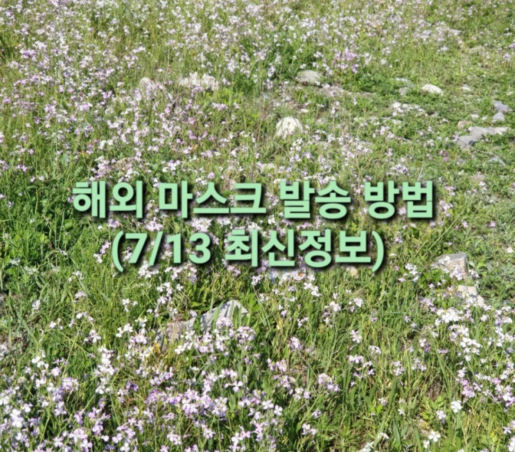  마스크 해외발송 분기별 90장 가능(7/13 최신정보)