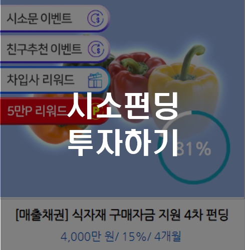  [핀테크] 시소펀딩 투자해볼까요? 지난 투자 수익률과 뭘 믿고 투자해야할 지도 후기로 함께 알아봐요. 친구추천 코드는 덤~
