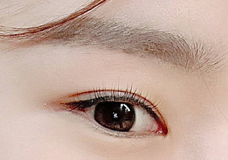 구의동 속눈썹펌 데일리뷰티 한올한올 예쁘게 구의동 속눈썹펌 데일리뷰티 한올한올 예쁘게