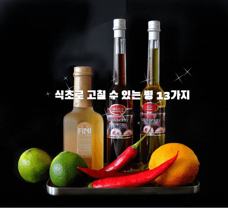 식초로 고칠 수 있는 병 13가지 식초로 고칠 수 있는 병 13가지