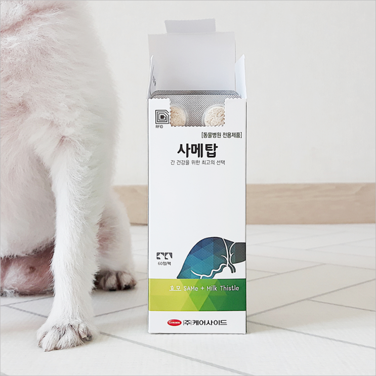  강아지 간영양제 애견 밀크시슬 챙길 때