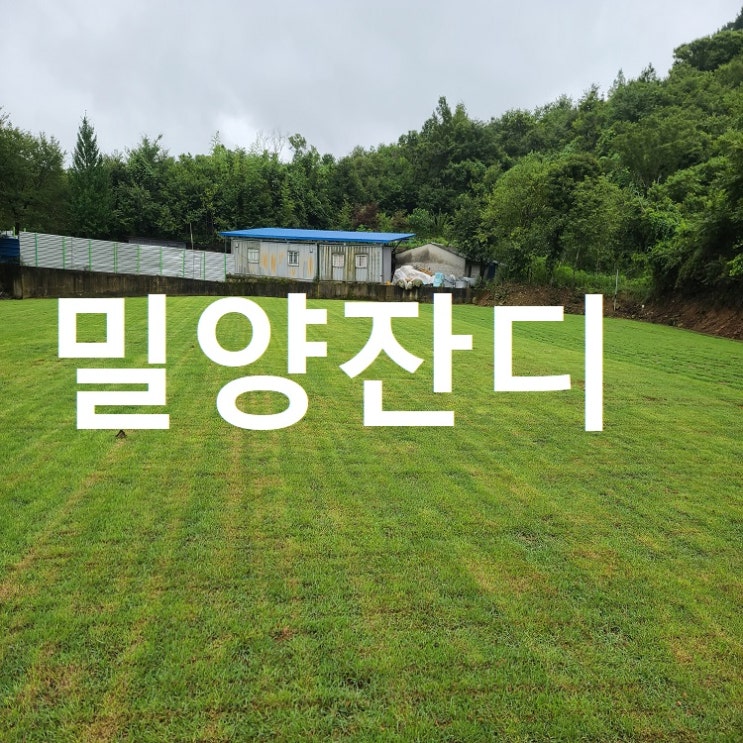  밀양 잔디 납품 전문