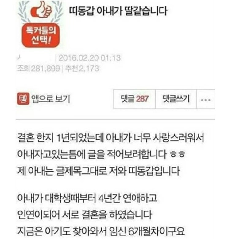  임신한 띠동갑 아내가 너무 귀엽습니다 (레전드 글)