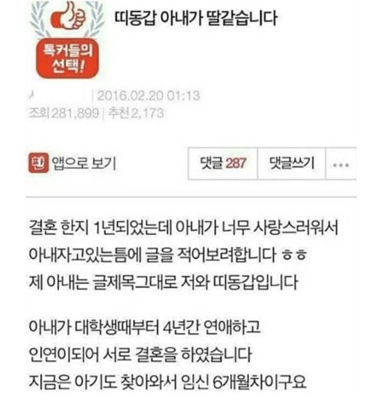 임신한 띠동갑 아내가 너무 귀엽습니다 (레전드 글)