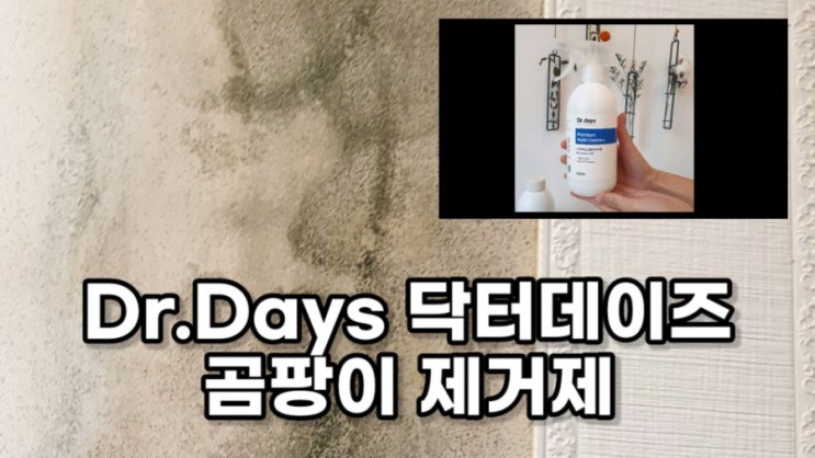  여름철 불청객 벽지곰팡이제거엔! 닥터데이즈 곰팡이제거제 블루로 해결! 대박!!