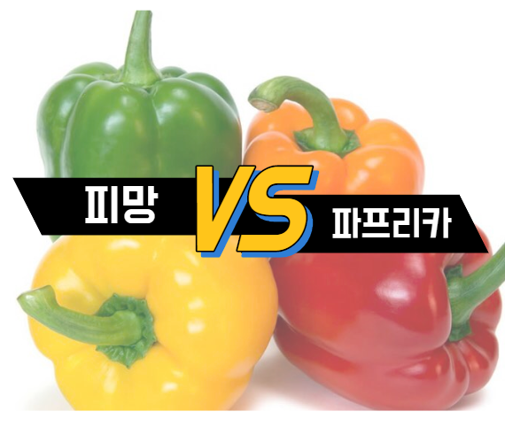  피망 파프리카 차이, 구분은 어떻게 할까?