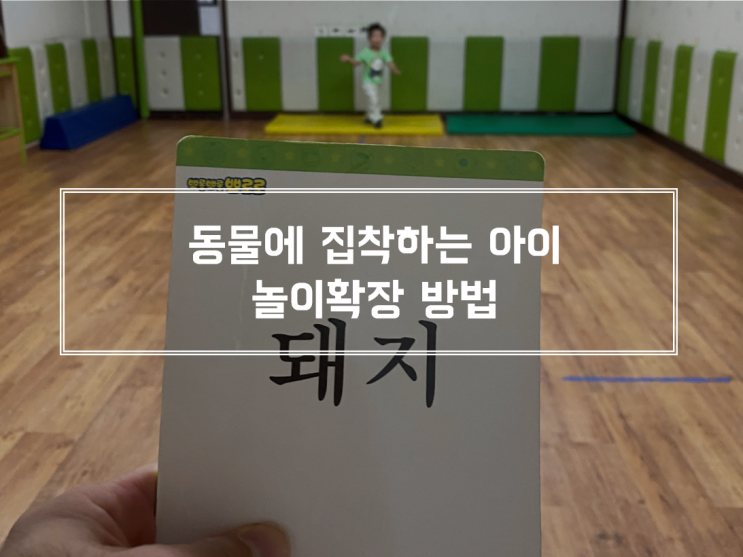  동물에 집착하는 아이와 하는 놀이확장방법