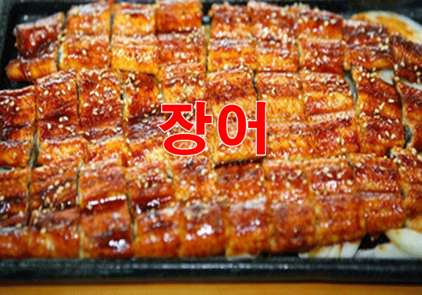 장어 효능 8가지 : 네이버 블로그