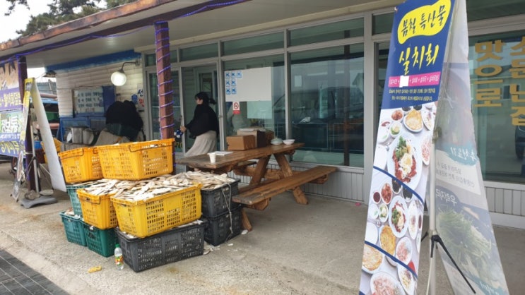  갑오징어물회는 여기(태안 마검포 맛집_선창회집)