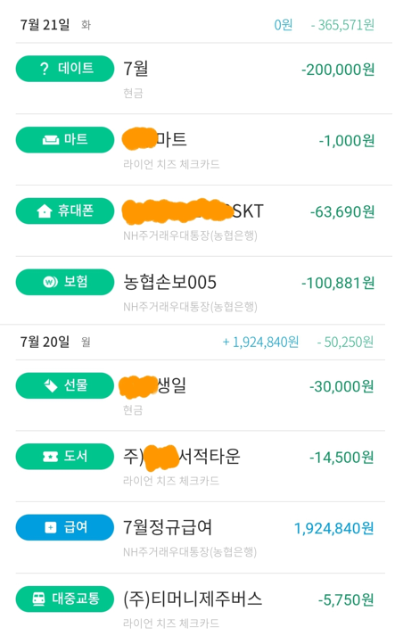  일주일 가계부 정리 - 7월 4주차