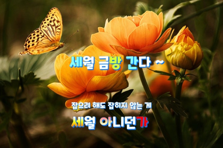  세월 금방 간다 ~~