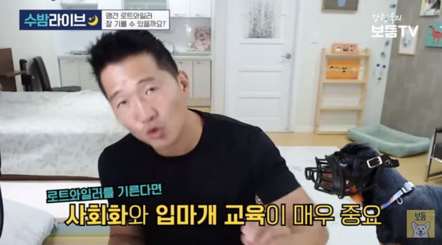 로트와일러 전기톱 청원 스피츠 살해 사고 사건 동영상 견주 성격 종 로트와일러 전기톱 청원 스피츠 살해 사고 사건 동영상 견주 성격 종