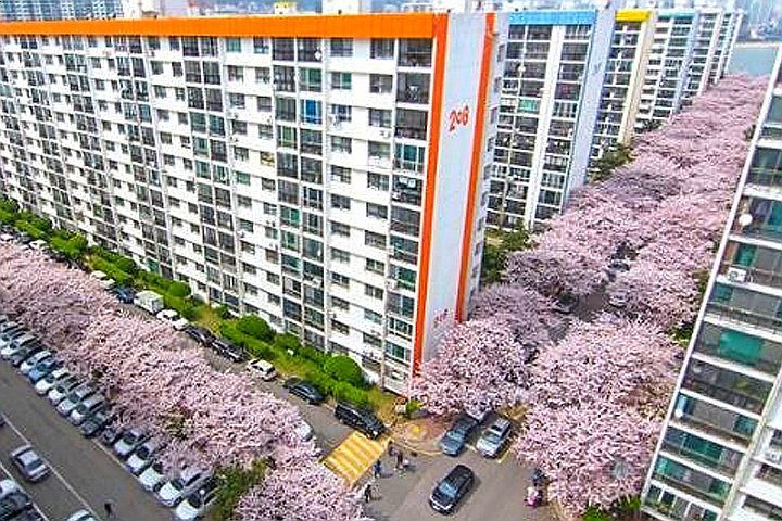  부산판 은마아파트로 불리는 곳