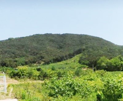 순정골 사진 5