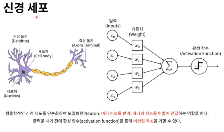  얕은 신경망 정의, 분류와, 회귀, 수식