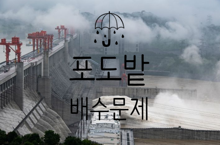 장마철 토양 수분,배수 관리