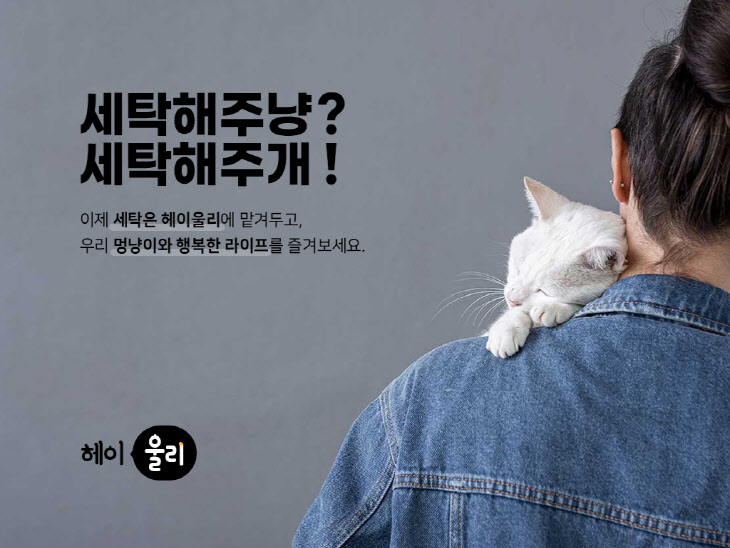 보험부터 세탁까지… ‘멍냥이’를 위한 스마트한 선택