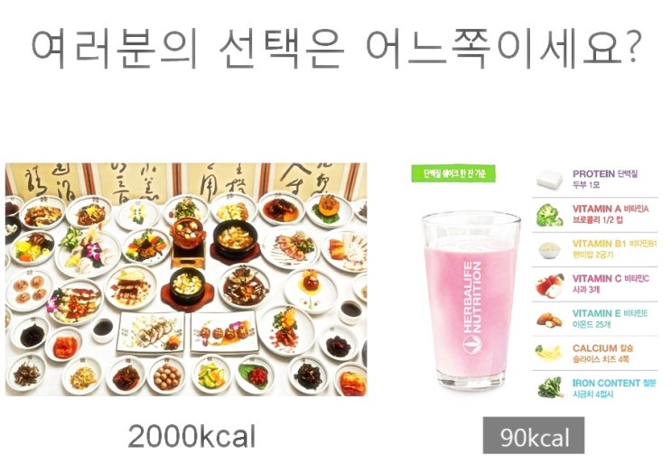  다이어트원리만 알면 살빼기 성공