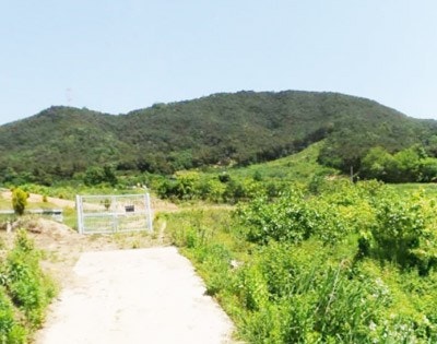 순정골 사진 4