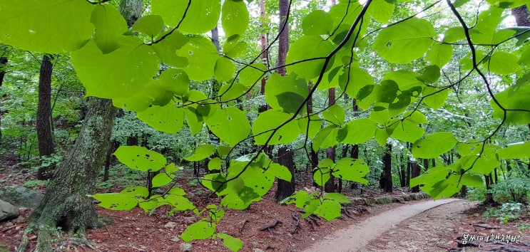  신흥사 설악산 명상길 산책하는 법