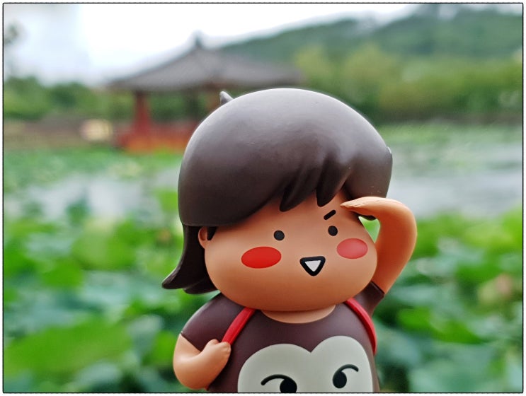  제주시 하가리 연꽃마을 연화지는 둥이와 함께~