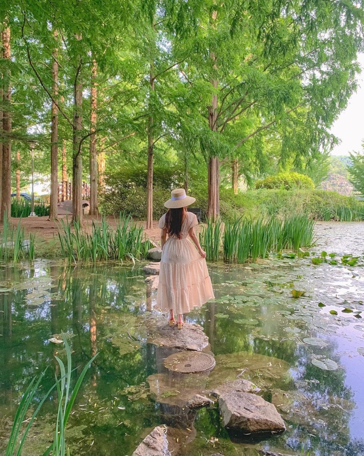  안동 여행 가볼만한 곳 : 월영교, 만휴정, 농암종택, 안동댐, 부용대, 지례예술촌