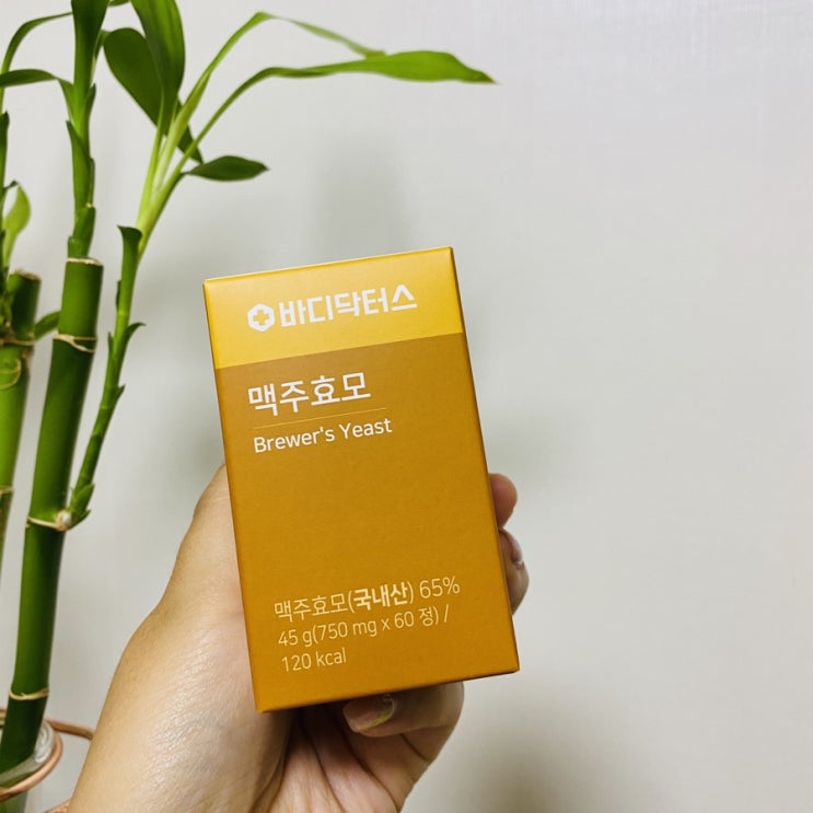 모발영양제 추천 맥주효모 모발영양제 추천 맥주효모