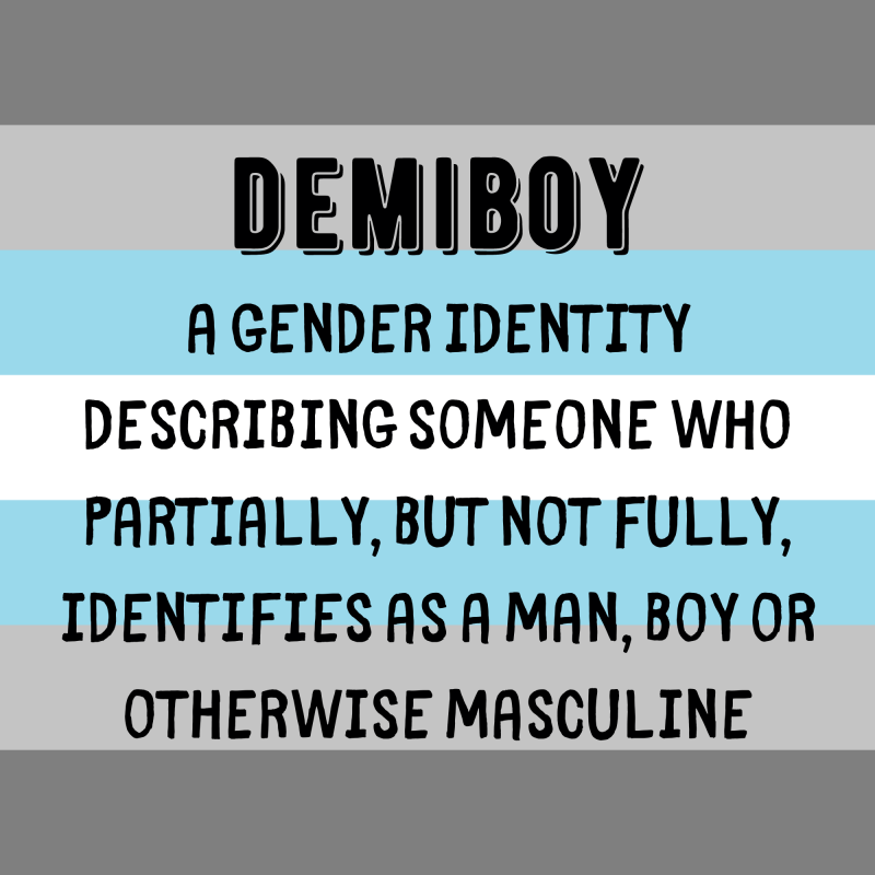 데미보이(demiboy)란? 데미보이 뜻 : 네이버 블로그