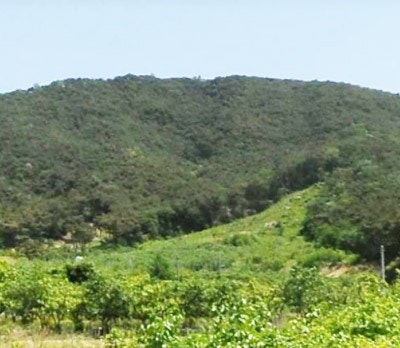 순정골 사진 6
