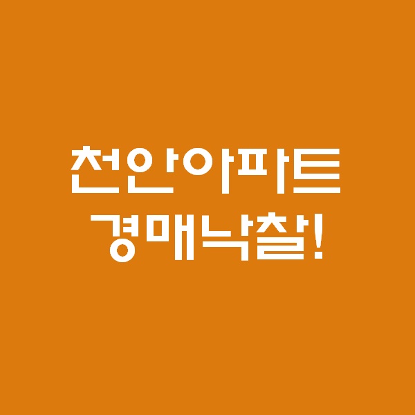  <경매 일주일이면 떠블오케이만큼 한다> - 천안사건 낙찰 -