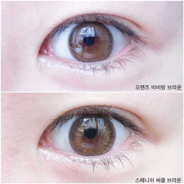  오렌즈 비비링 브라운 원데이vs오렌즈 스페니쉬 써클 브라운 추천