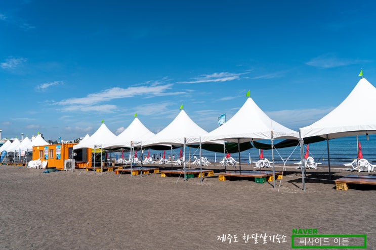  물이 너무해 "샛도리물&삼양검은모래해변" [제주도 한달살기 숙소 씨사이드 이든 추천]