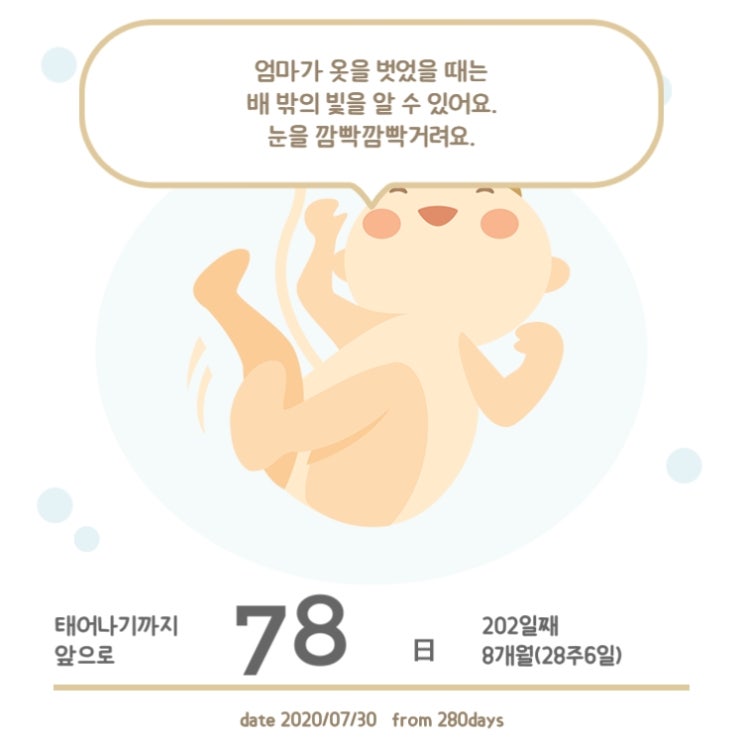  28주 임신기록c