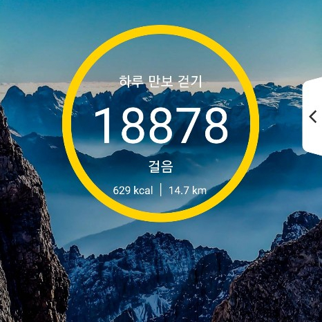  [건강프로젝트] 60일차 6000보 이상 걷기 성공